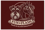 FunFlash Dog & Horse
