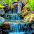 landscape pond