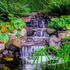 koi pond waterfall