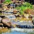 fish pond