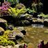 Small pond.