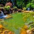large pond