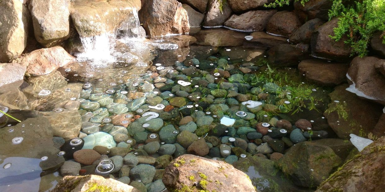 pond cleaning