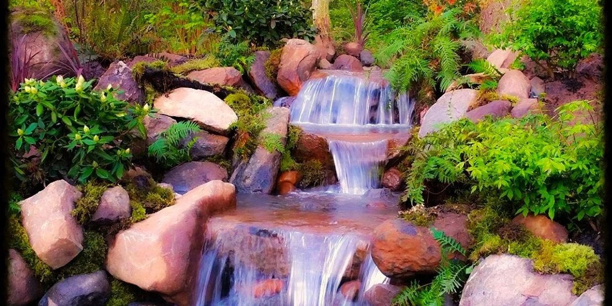 pond cleaning near me