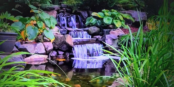 pond cleaning