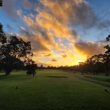 Sunset over a green golf course with scattered trees.
