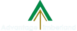 Advantage Timberland, Inc.