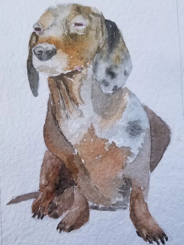 A painting of a dog on the paper