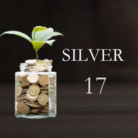 Silver 17