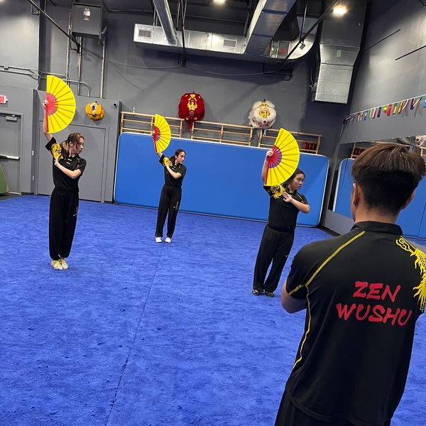 Zen Wushu gym training floor, fan practice