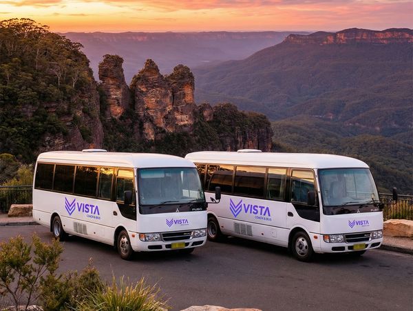 Two white Vista buses parked at a scenic lookout during sunset.