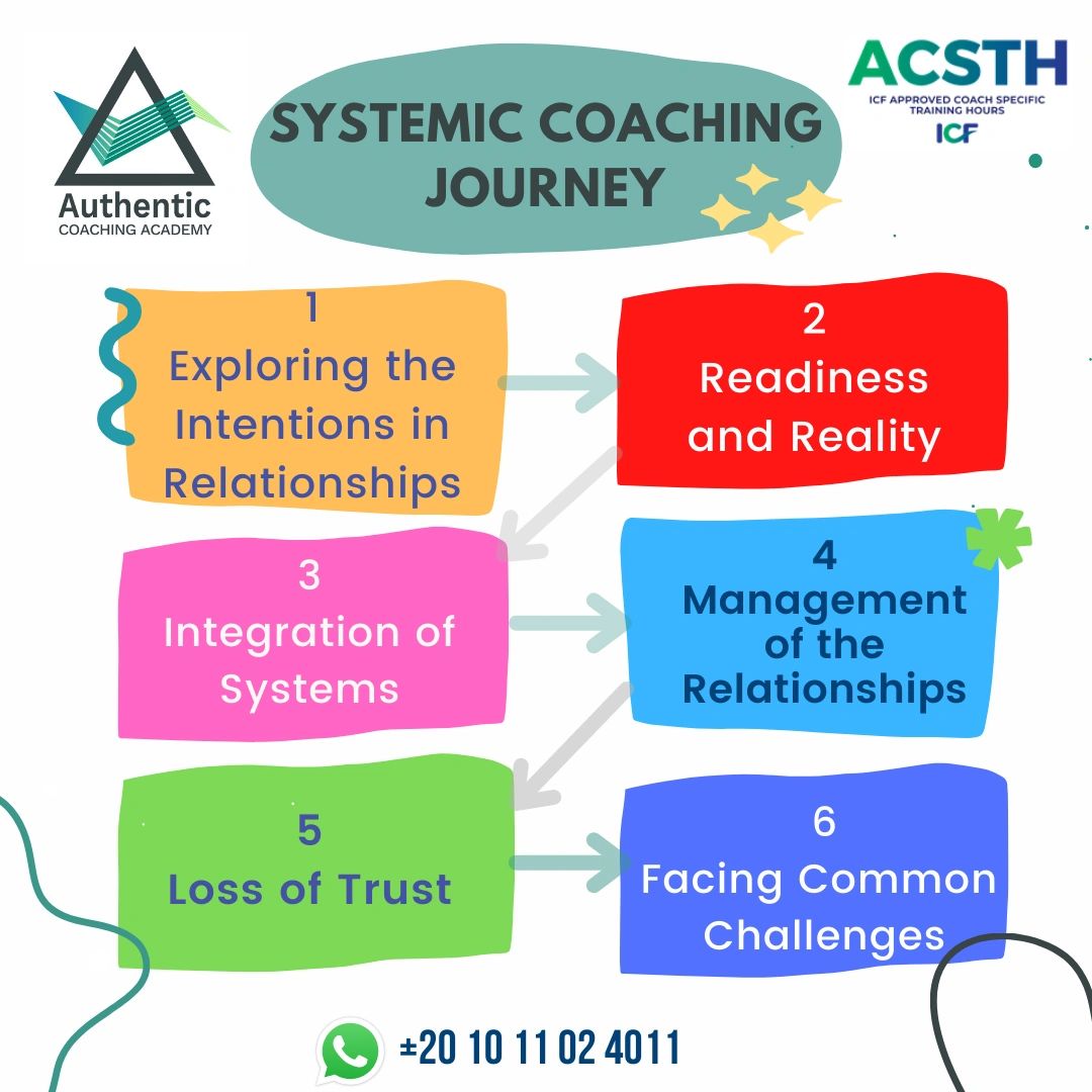 Systemic Coaching Program Journey