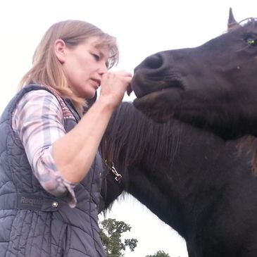 Vicki Sanders ESMT  Equine Massage Therapy