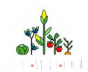 Front Yard Food