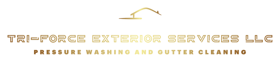 Tri-Force Exterior Services LLC