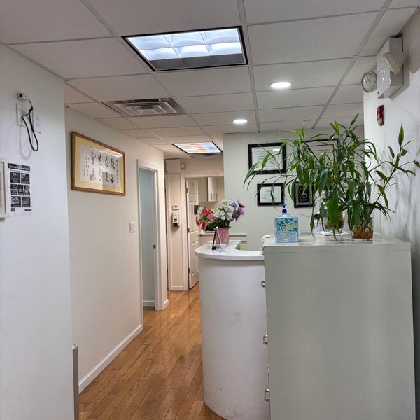 Reception area with plants and flowers in a clean office hallway.