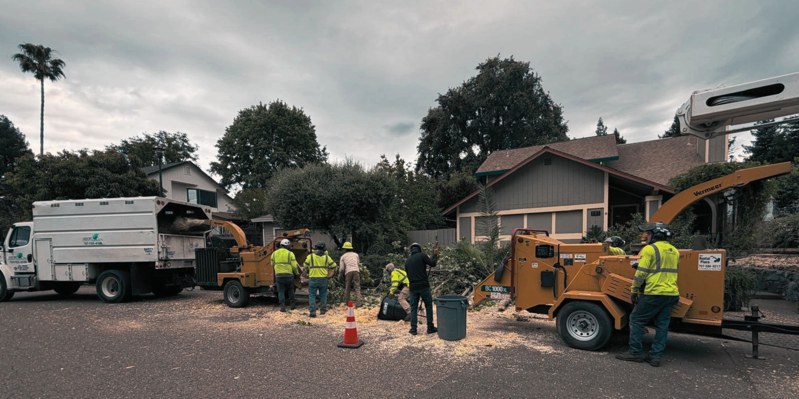 Arborcare Group Inc.