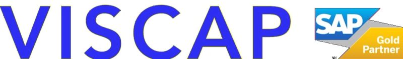 Viscap-logo_1.jpg