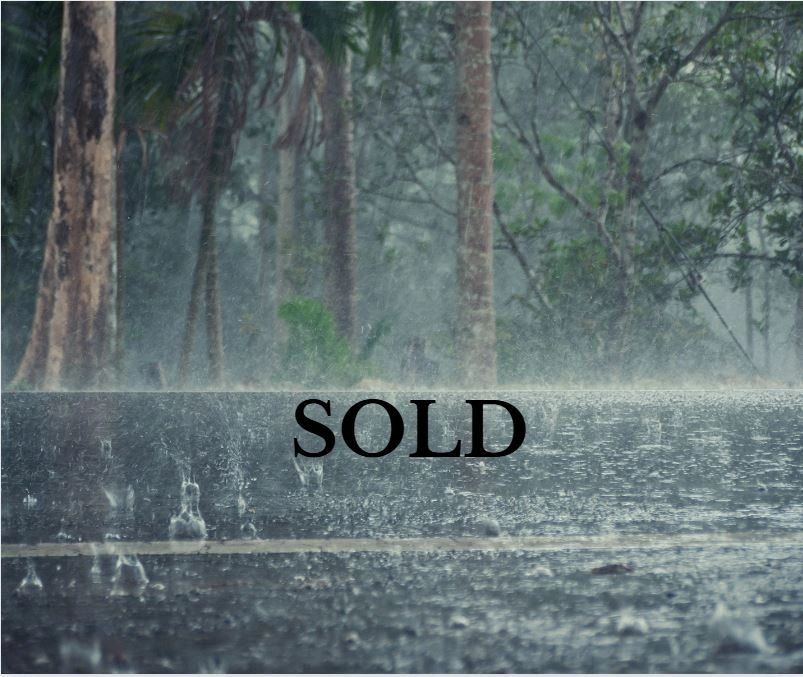 Heavy rain falling on a forest road with the word SOLD.