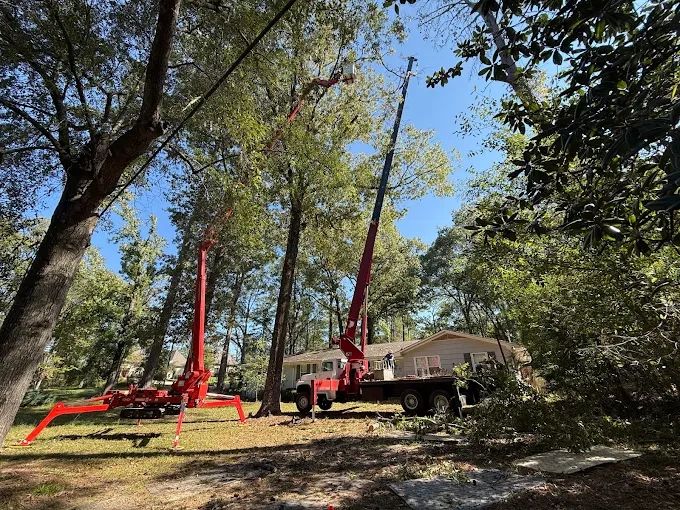 Two red cranes next to a house in a wooded area.