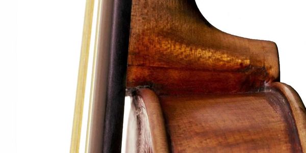 rococo violin shop,violin shop,instrument repair,sales,rental,violin,viola,cello,bass stradivarius