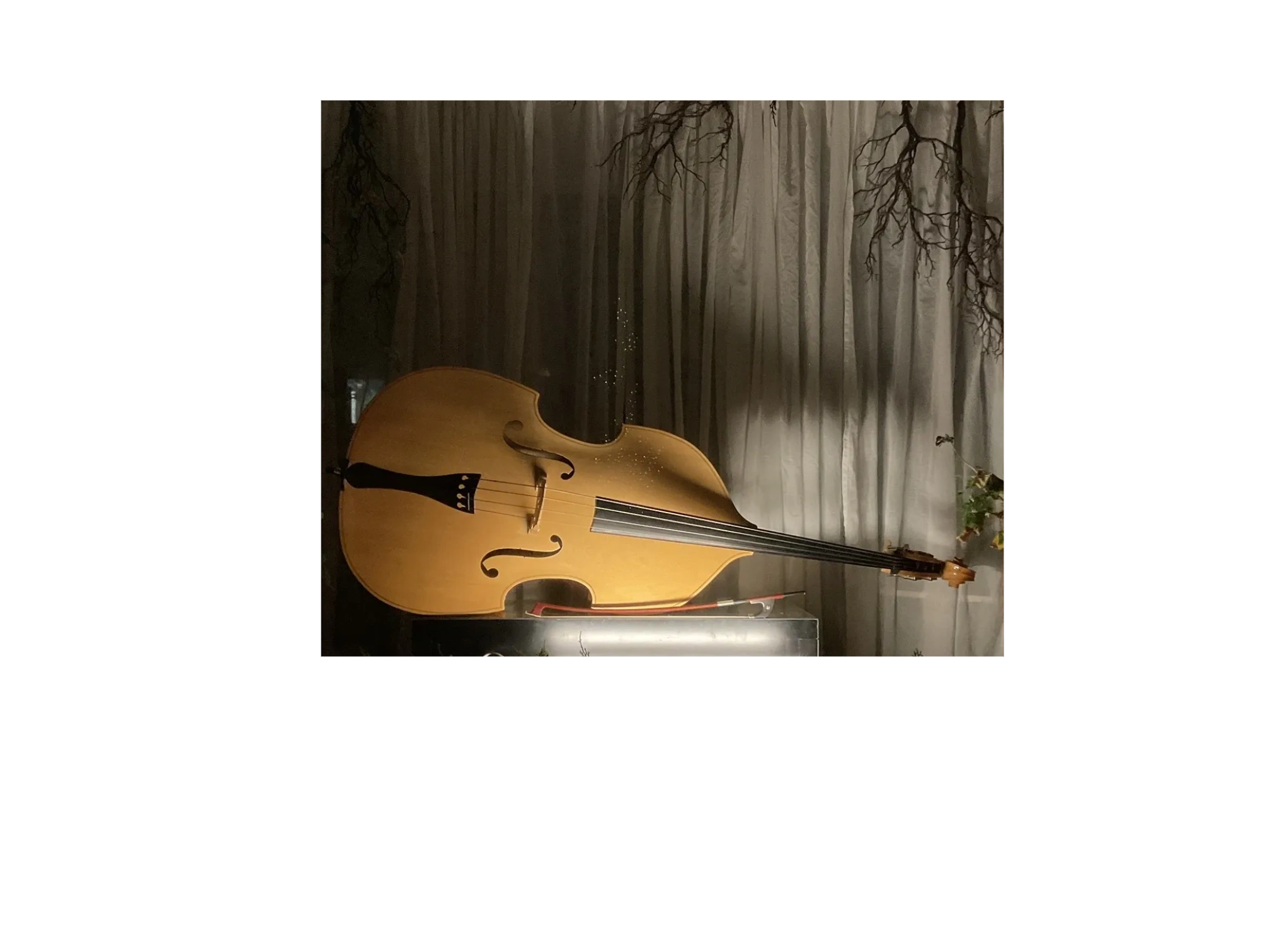 Rococo Violin Shop Violin Shop, Rachele Turgeon, Rococo