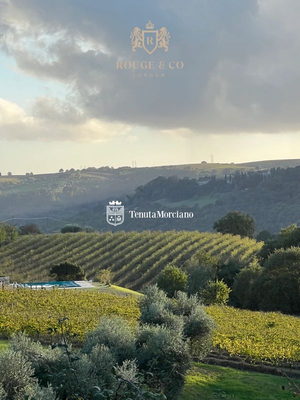 Scenic vineyard landscape under a cloudy sky with logos of Rouge & Co and Tenuta Morciano.