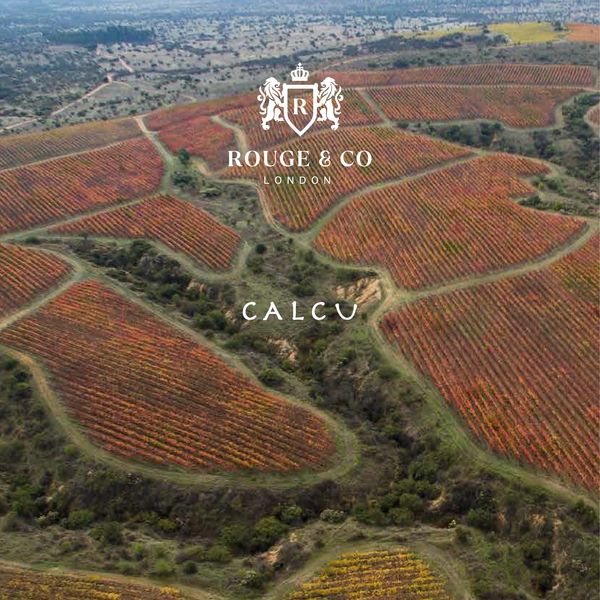Aerial view of colorful vineyard fields with Rouge & Co London logo.