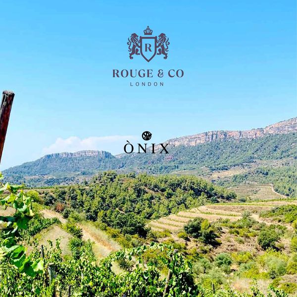 Scenic vineyard landscape with logos of Rouge & Co London and Onix.