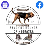 Sandhill Hounds of Nebraska