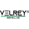 VELREY SEMILLAS
