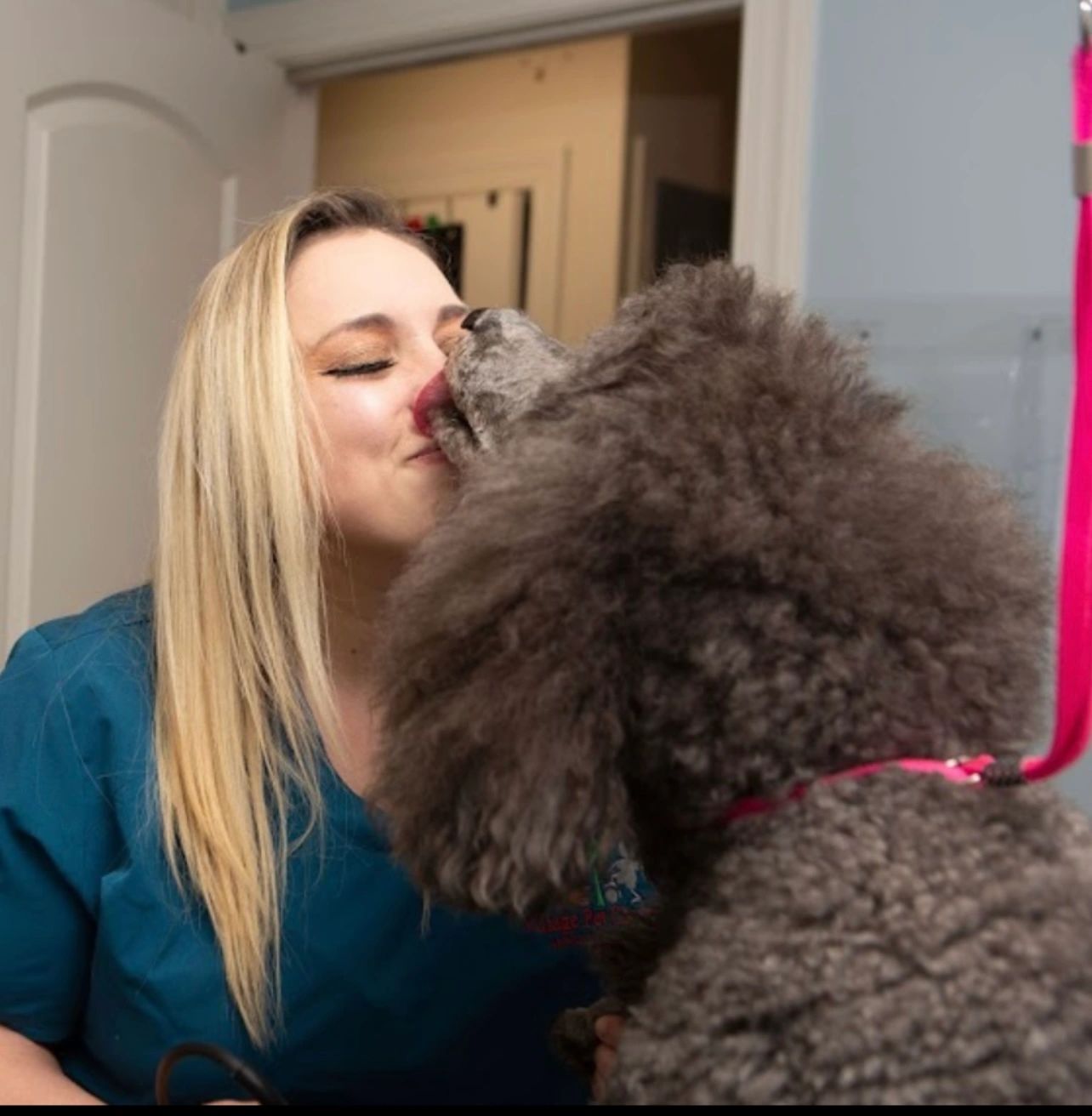 Image showcasing Village Pet Grooming and Boutique