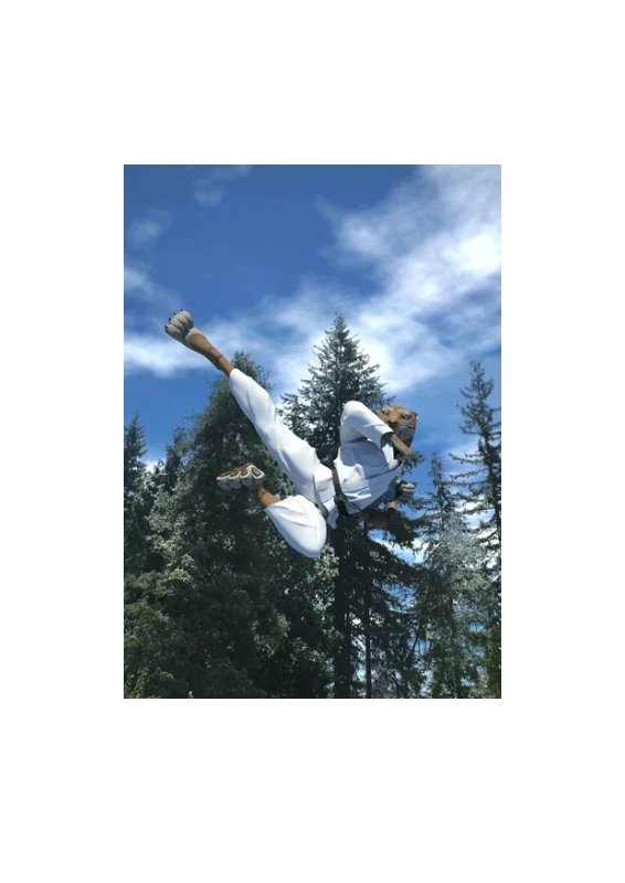 jongkimmartialartsguildford.ca