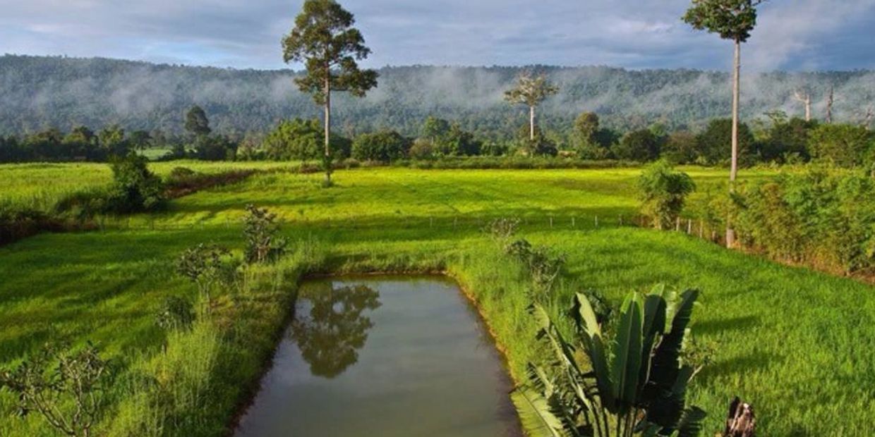 View from the balcony to Khaoyai National Park
