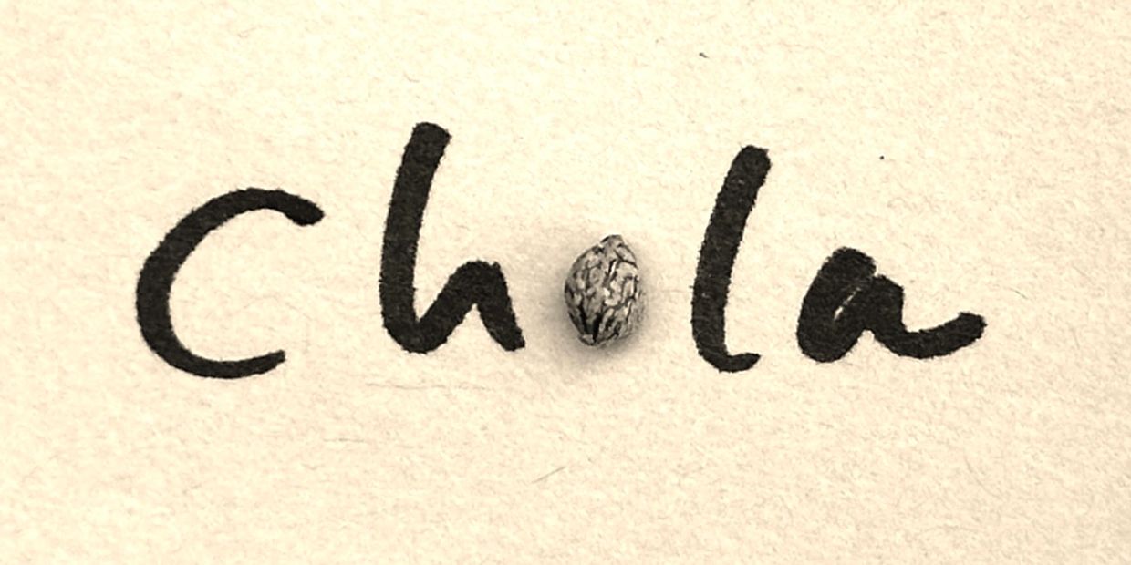 Chola Hemp logo showing a single hemp seed representing the "O" in Chola.