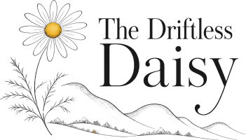 The Driftless Daisy