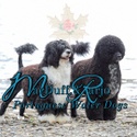 MacDuff &Rarjo 