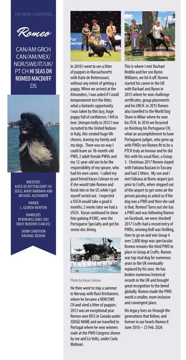 Romeo the dog featured as the cover dog with his impressive show history and family details.