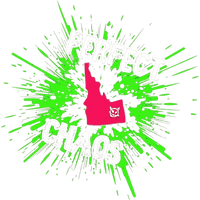 Perfect Chaos Party Band
