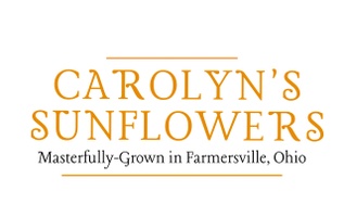 Carolyn's Sunflowers