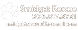 Smidget Rescue