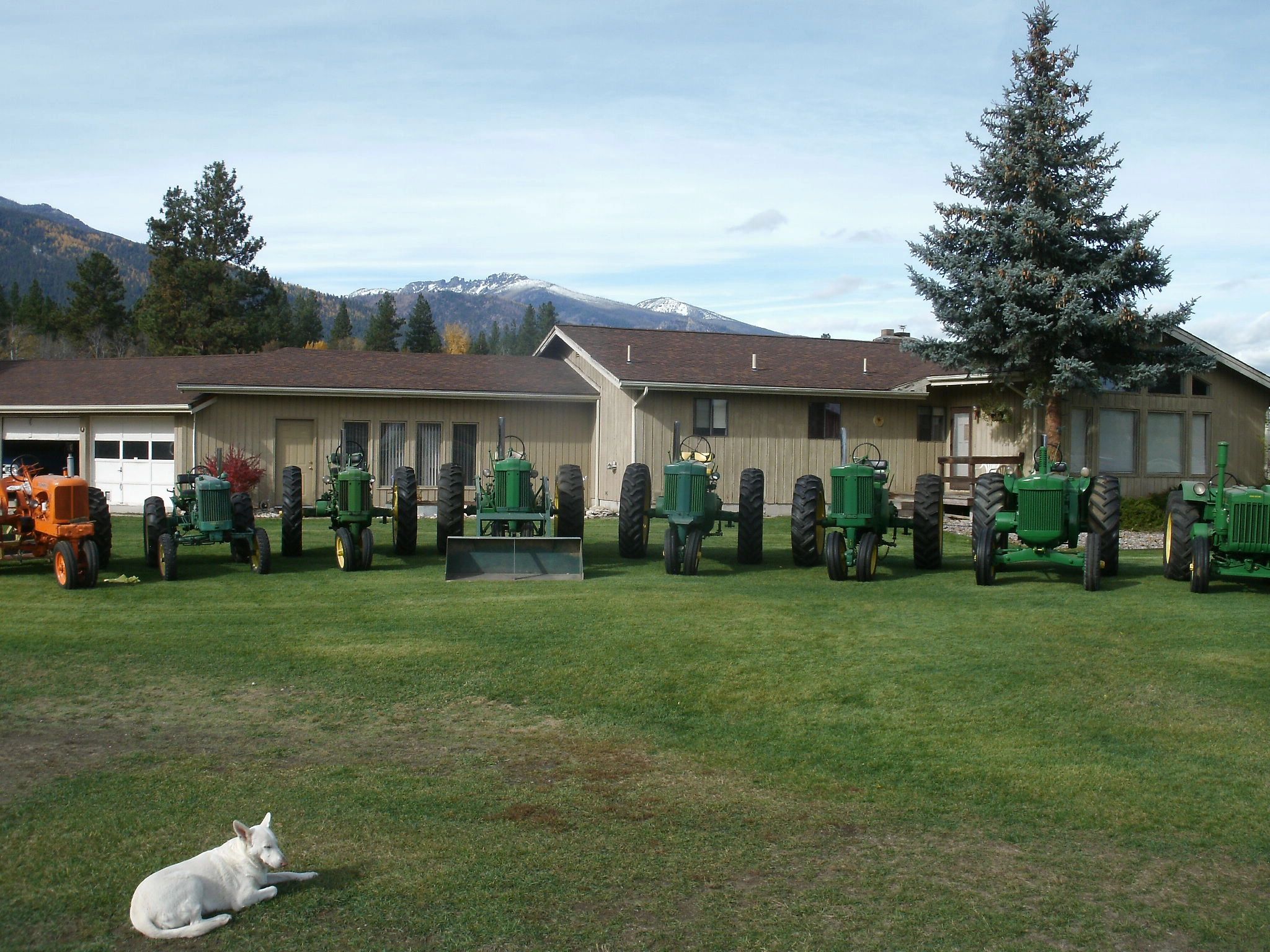 Allis-Chalmers and John Deere antique tractors. 