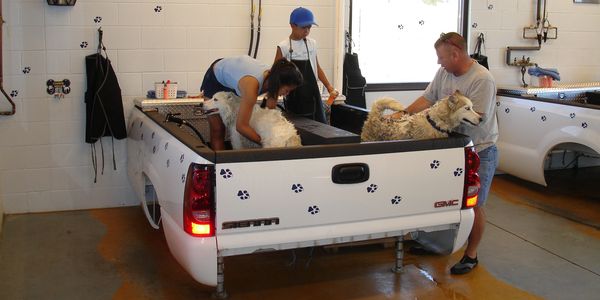 self serve dog wash, truck bed dog wash
