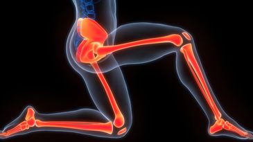X-ray style image showing leg bones in a kneeling human figure.