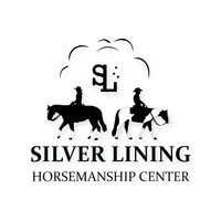 Silver Lining 
Horse Training
