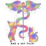 Ask A Vet Tech!