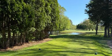 Sunlit golf course with lush green fairway and trees lining the sides.