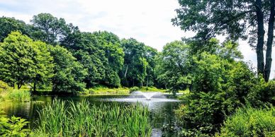A serene park pond with a fountain surrounded by lush greenery.