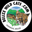JUNGLE ENCOUNTERS- Belize Wild Cat Conservation Research Project