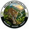 JUNGLE ENCOUNTERS- Belize Wild Cat Conservation Research Project
